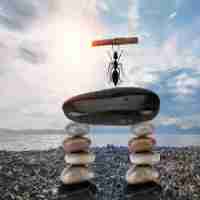 神‍经‍网﻿络​工‌具‍包‌